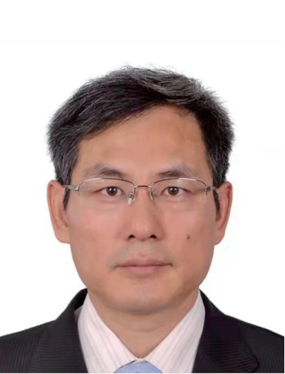 光测图像技术与光测实验力学领域专家