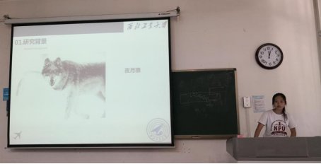 找问题等能力